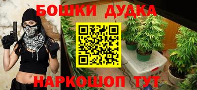 крисы Севастополь