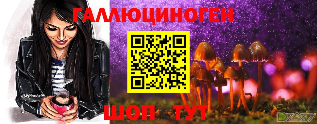 Псилоцибиновые грибы мухоморы Осинники