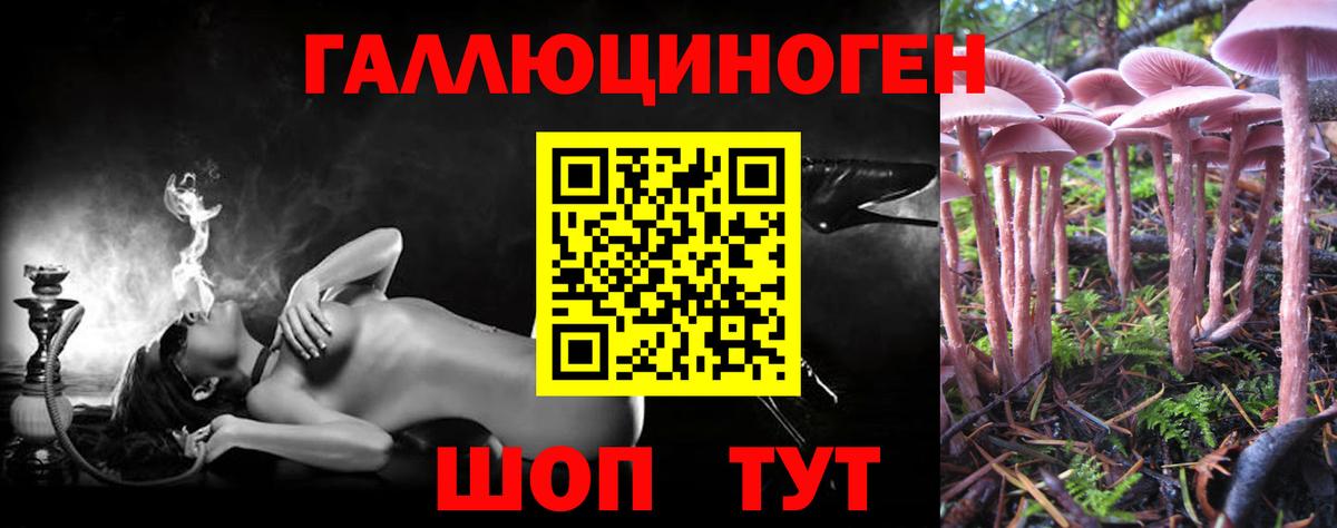 Галлюциногенные грибы прущие грибы  Вход с VPN  Осинники 